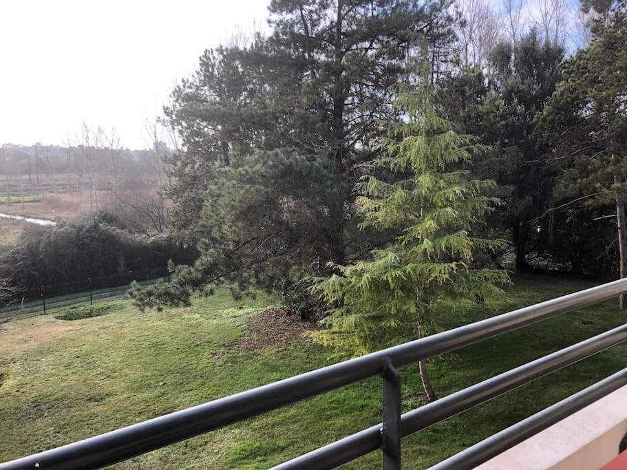 A Avec Acces Piscine Apartment *