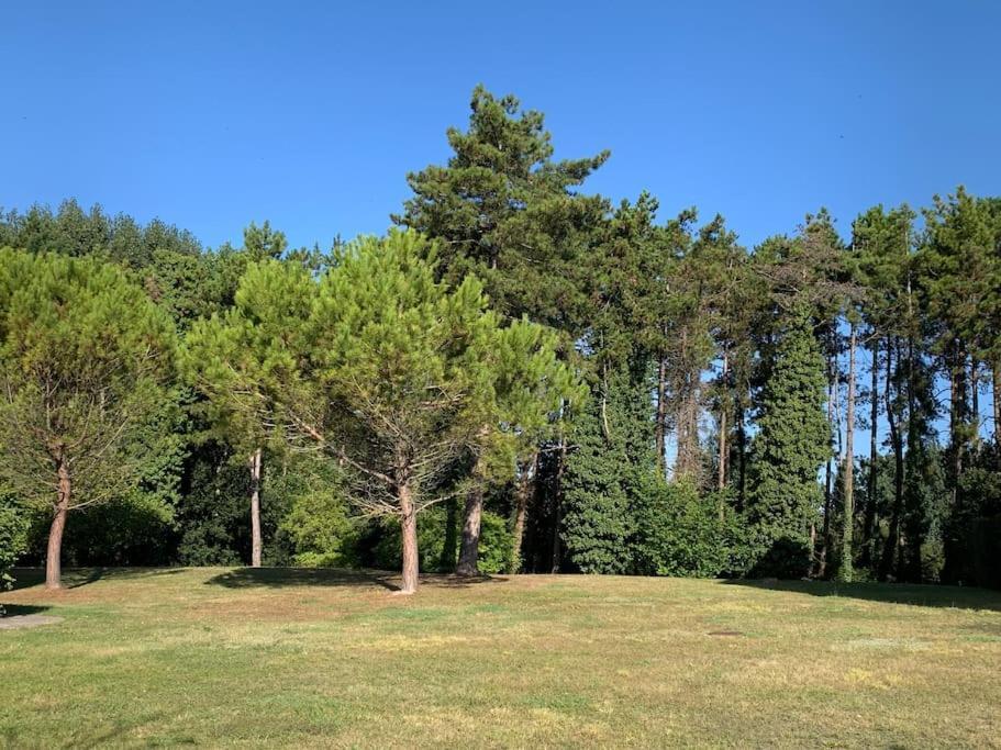 A Avec Acces Piscine